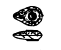1-i.jpg (19489 bytes)